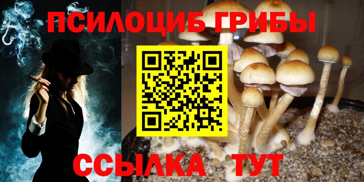 Курчатов  Псилоцибиновые грибы Psilocybe  Вход с VPN  Галлюциногенные грибы MAGIC MUSHROOMS 